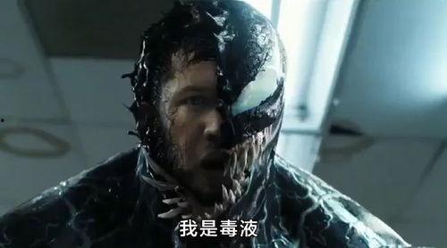 小毒液怎么爆料的啊视频,揭秘小毒液爆料视频背后的真相与技巧